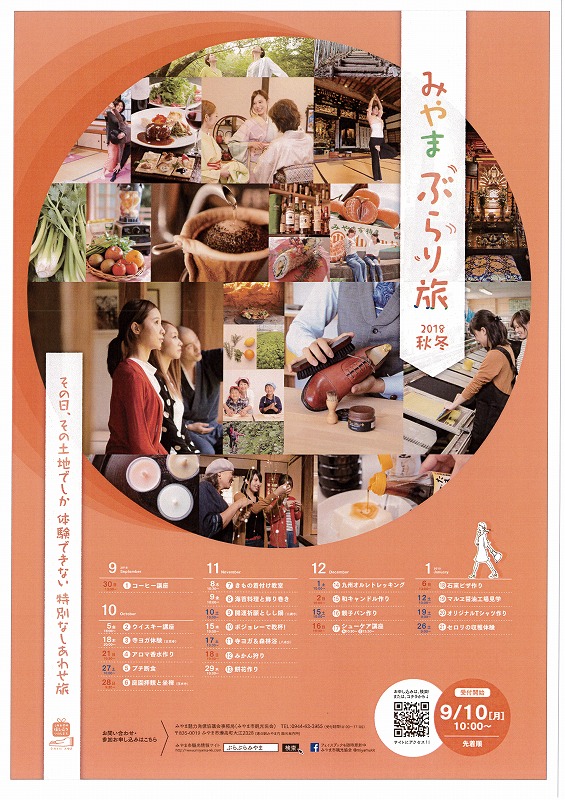 ちらし ちらし