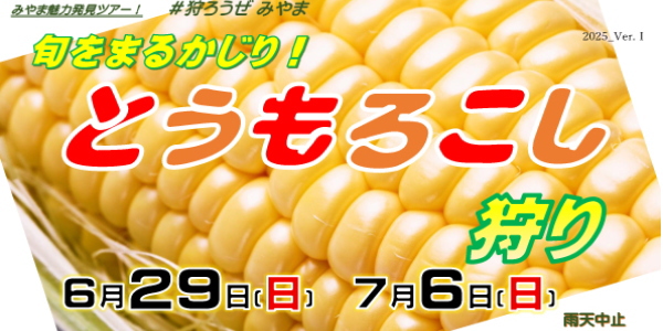 みやま