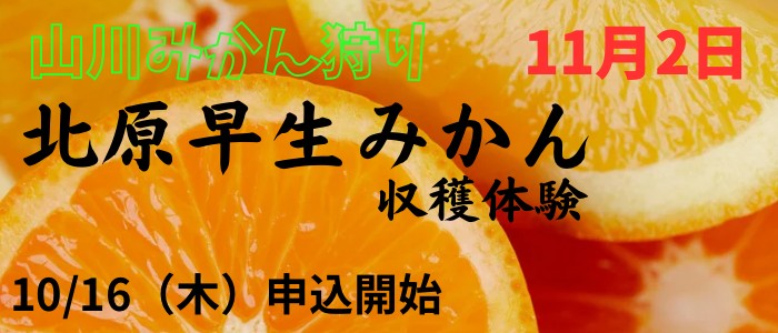 みやま