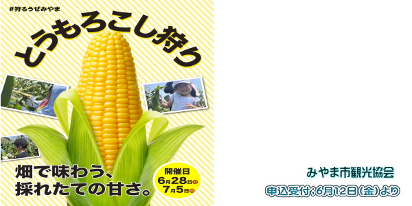みやま