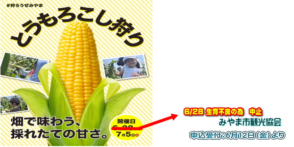 みやま